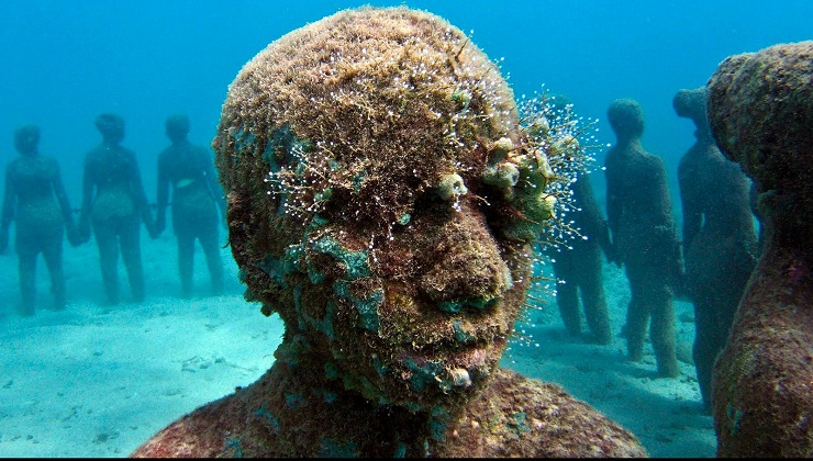 14 Shocking Ocean Discoveries