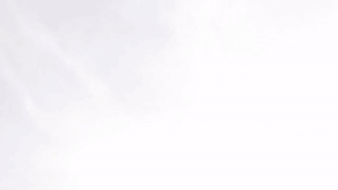 The Autonomous Human Drone Taxi