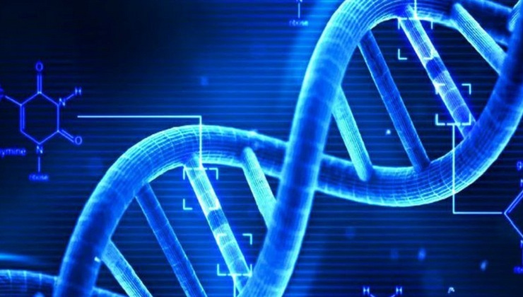 Scientists claim they’ve completed the first successful Gene Therapy against Human Ageing