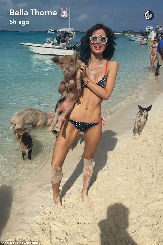 Bella Thorne and sister Dani show off their flawless Bikini bodies as they cuddle up to swine on Pig Beach